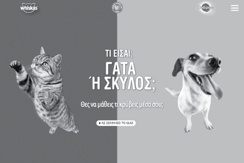 PEDIGREE / WHISKAS - CAT OR DOG