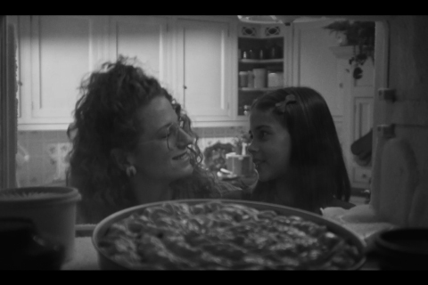 alfa | HIDE AND SEEK